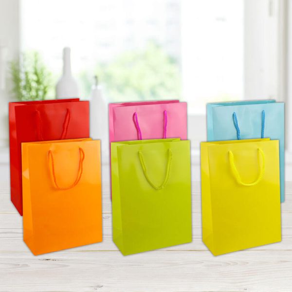 Elegant plastic plain medium Gift Bag